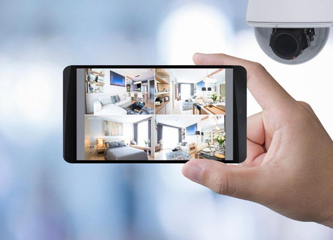 Cámaras de Vigilancia